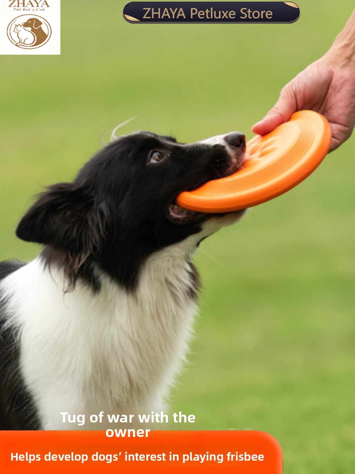 Disque volant pour chien, soup - Flying Disc Dog Training Toy avis et prix