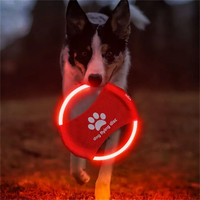 Jouet pour chien LED brillant  - Flying Disc Dog Training Toy avis et prix