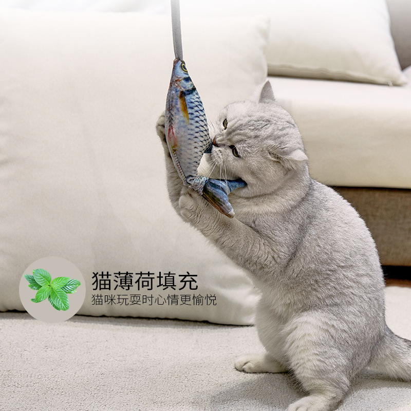 Jouet interactif amusant pour  - Electric Floppy Fish Dog Toy avis et prix