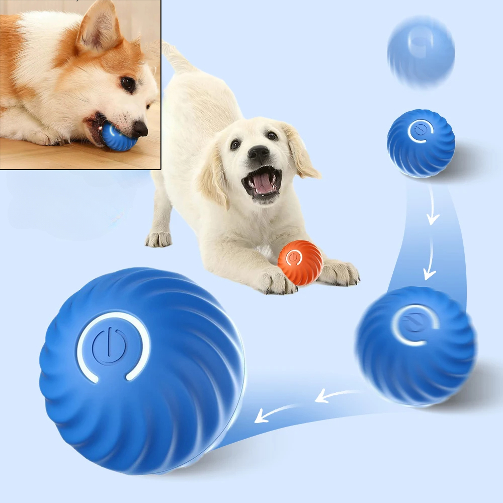 Balle de jeu pour chien, balle - Suction Cup Dog Tug Toy avis et prix