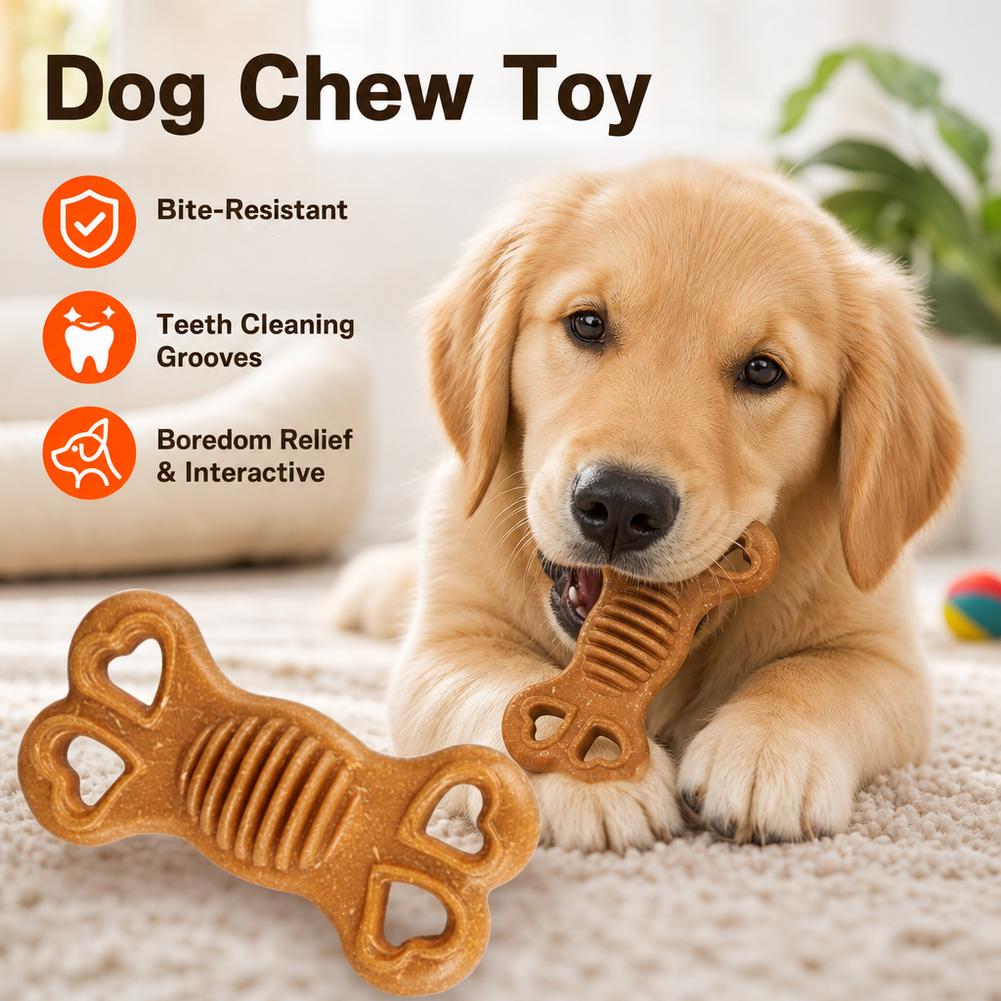 Jouet à mâcher pour chien inde - Teeth Cleaning Dog Chew Bone avis et prix