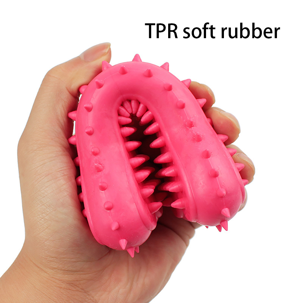 Jouets pour animaux de compagn - Teeth Cleaning Dog Chew Bone avis et prix